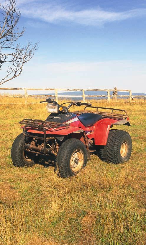 Today Honda ATVs are recognised as the best 4-wheeled motorcycles on the planet.