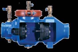 300 Series 350 Flanged Body Sizes: 2-1/2", 3", 4", 6", 8", 10", 12" 350A Grooved Body Sizes: 2-1/2", 3", 4", 6", 8", 10" Double Check