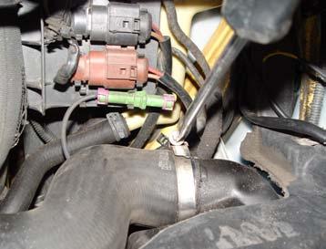 Loosen the remaining hose clamp on the passenger side lower boost hose and remove this hose.