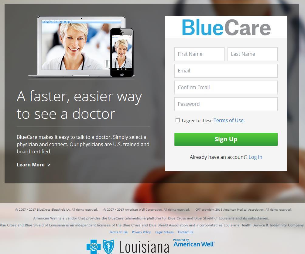 2 What is BlueCare?
