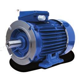 M REDUCTION B35 Foot Mounted D-Flange IEC Frame Metric Motors 1-25 HP 3PH TEFC Dual Rated 230/460V 60 Hz and 380/400V 60 Hz Elektrim Motors with Reduction D-Flange pre-installed are denoted by MDM in