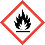WARNING Smoking or open flames when handling combustible fuels can lead to explosion or deflagration. Possibility of severe injuries.