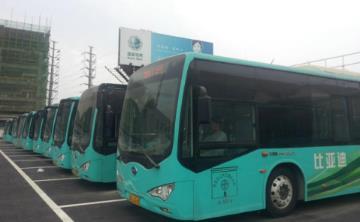 Strategy BYD electric buses already in service