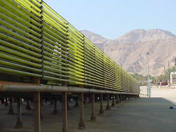 Algae: simple, photosynthetic plants, that can be grown with polluted