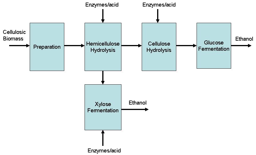 Figure 4: Diagram for biological conversion of cellulosic biomass to ethanol (Source: Wyman et al, 1993) The biochemical pathway requires selection and development of enzymes that can efficiently