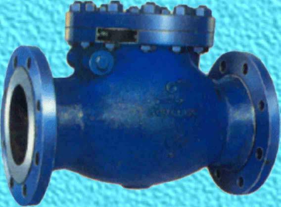 Swing Check Valves have low pressure drop and are best suited for moderate velocity applications.