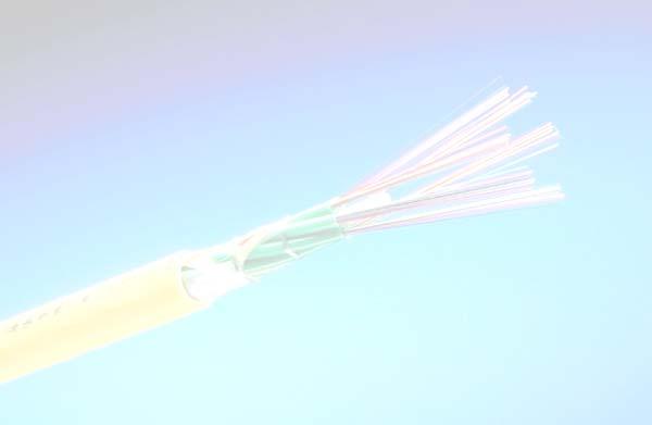 Optical Fiber Communication Cable Loose Tube Metallic Type (LAP Sheath) Loose Tube Metallic