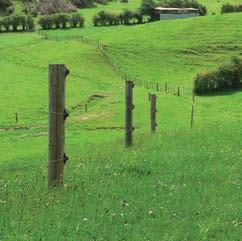 B Equine Fencing Permanent & Semi-Permanent Safety & visibility are key for more unpredictable animals like horses, Gallagher has specialised products for your horse s welfare.