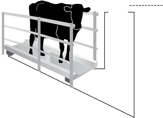 54 Weighing and Data Collection System TSi Livestock Manager 55 Electronic Identification (EID) compatible weighing and data collectors (Weigh Scale W610, W810 and TSi) enable individual animal