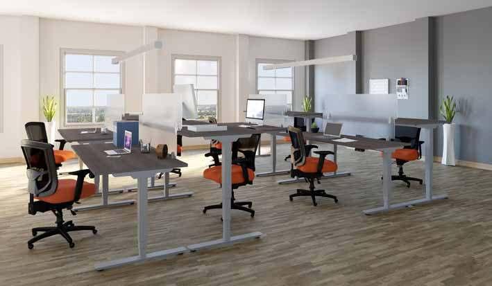 Electrical Height Adjustable Tables casegoods Shown: PLT-DEAB7248NFBR-30(8), PLT3072(8), PLTAP1554S(8), PLTSBUDMSGL(8) List $14,216 Featuring White Top with Bevel Edge Accent Shown: