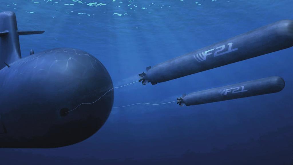WEAPON HANDLING AND LAUNCHING TUBES FOR SUBMARINES DCNS proposes simple, fast and secured solutions for the weapons and the submarine crew.