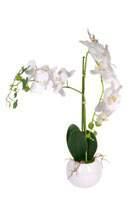 88 Fiori 36331 h 70 cm Orchidea in vaso Orchid in vase 8010402363315 x 2/12CAT 36774 h 50 cm Orchidea in vaso 2 steli bianca 2-stem white orchid in vase 8010402367740 x 1/72CAT 36775 h 32 cm