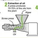 Oil press is used as physical extraction, while chemical