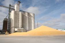 Grain Flows after Ethanol Farm 1,000 Acres 180,000 Bushels 200 semi trucks Ethanol Plant