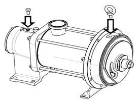 In addition, as using a cylinder / piston that is too worn may damage the pump's transmission system, it is advisable to replace the cylinder / piston if the