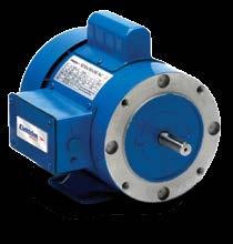 56 Frame Rolled Steel /3- HP PH TEF 60 Hz NEMA A Foot Mounted Motors Applications: Energy-saving continuous duty motor designed for applications requiring exceptional value, quality and performance
