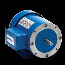 56 Frame Rolled Steel /3-3 HP 3PH TEF 60 Hz NEMA A Foot Mounted Motors Applications: Energy-saving continuous duty motor designed for applications requiring exceptional value, quality and performance