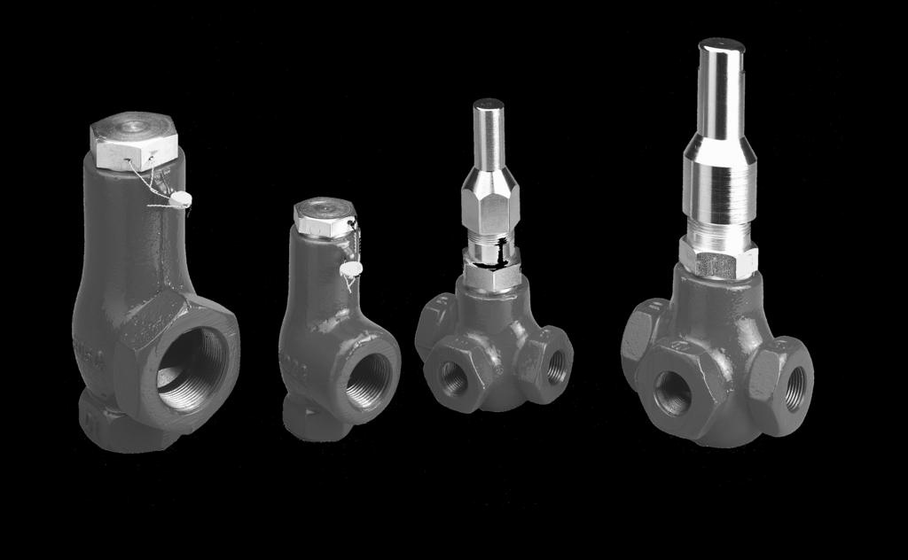 Technical leaflet Introduction The safety valves are backpressure dependent pressure relief valves. These are designed for protection of vessels and other components against excessive pressure.