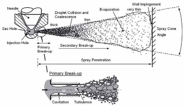 Fig. 1: Formation of a Diesel spray [4] As the primary atomization is occur in vicinity of orifice due to turbulence and cavitation, so there is importance of orifice shape which affects on