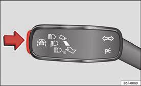Driver information system 75 Button for the driving assistance systems* Fig.