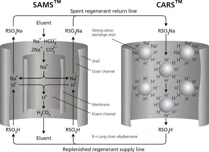 Instructions for Use - SeQuant CARS 3 Figure 2: Ion exchange in a SeQuant SAMS TM suppressor connected to SeQuant CARS