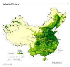 Olive growing in CHINA SURFACE - Crop area 2015: > 86 000 ha; 43% Irrigated Bearing: 22.867ha.