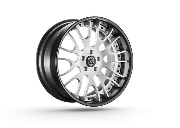 Wheel Design > wheel / tire combination PROFESSIONAL 21 Application FA Professional 9,0x21 OS35 BMW BMW bolthole circle 5x120 OrderNo.: 91211335 / price per unit: 2.