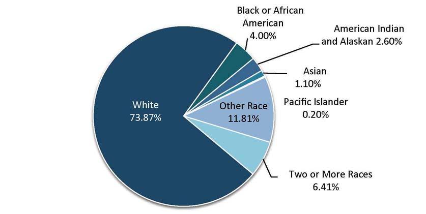 15 FIGURE 8.2 Ethnicity Distribution for Clearlake, 2010 TABLE 8.