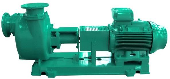 Naming Wilo / Assembly of motor-pump : Wilo-Drain SP 40 F A S - 2 1 - T 11 / 2 K Code Construction Picture 11