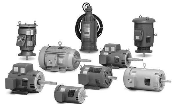 Information Single phase General purpose Severe duty Large AC Washdown duty Explosion proof Pump HVAC Farm duty 114 Pump motors From industrial wastewater to fire suppression systems or commercial