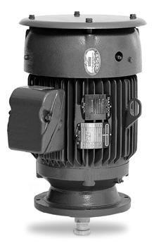 PUMP MOTORS P-base vertical solid shaft pump, three phase, TEFC 3 thru 75 IP55 131 Information Vertical lifting provisions for ease of installation Severe Duty construction for harsh environments
