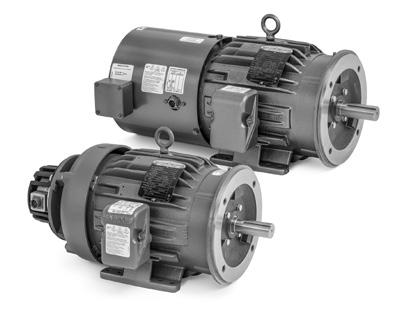 INVERTER AND VECTOR MOTORS V*S Master vector drive, three phase, totally enclosed 1/2 thru 300 TENV & TEFC, 1000:1CT without blower HS35 encoder, 1024 PPR 3 thermostats, one per phase Standard frame