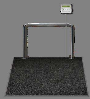 Dialysis Wheelchair Ramp Scale Dialysis Wheelchair Ramp Scale offers faster, more accurate weighing built in to the floor.