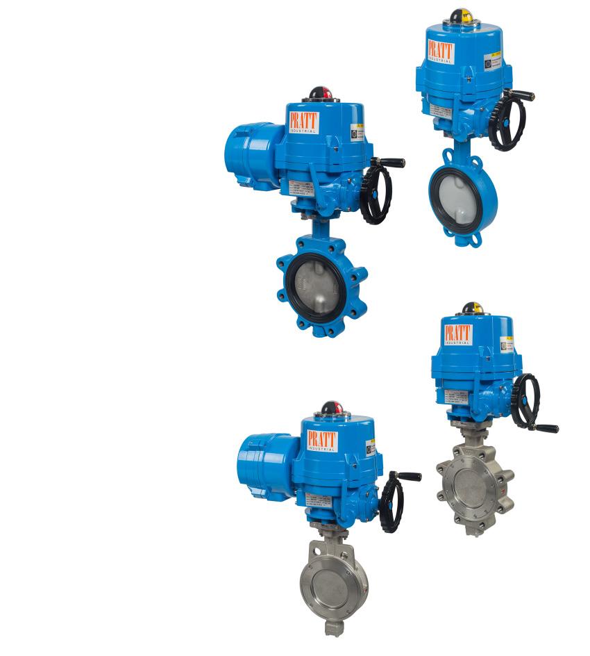 INTRODUCTION Pratt Industrial designs and provides high quality actuators and services related to valve automation.