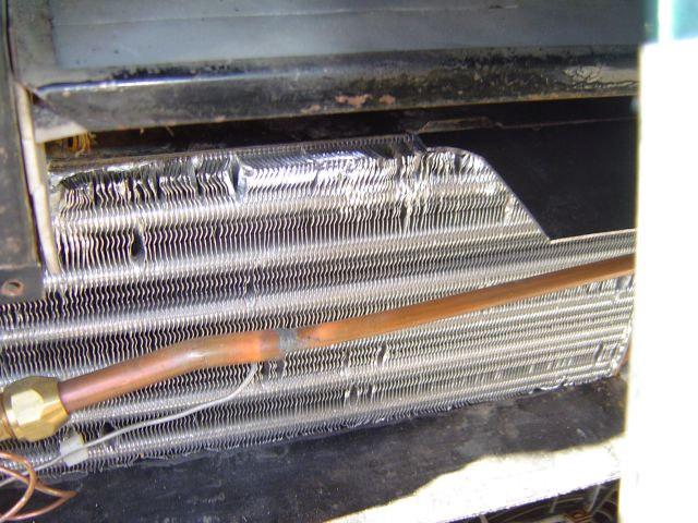 The top of the squirrel cage motor housing is even with the top of the evaporator.