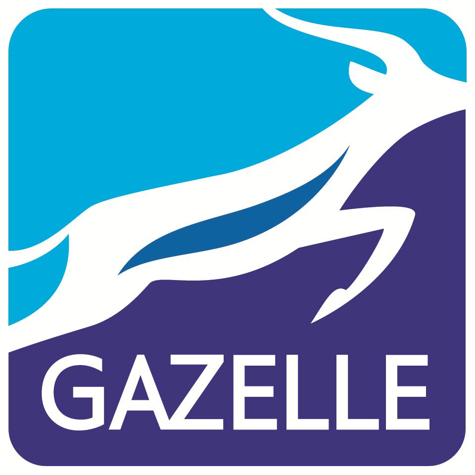 GAZELLE Basic Data Annual transport capacity 30 BCM/Y represents more than tripple of annual gas consumption of the whole Czech Republic.