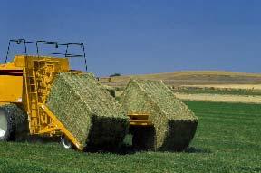 The BA3 accumulator collects up to five bales, the BA4 three bales, and lets you drop them at the ends of the field, where they are quicker and easier to collect.