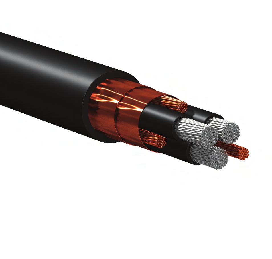 Be Certain with Belden Belden VFD Cables Were Designed to Deliver Top Performance in Any Type of Environment VFD Cable Selling Points: Classic Foil/Braid Designs All Cables Thicker, industrial-grade
