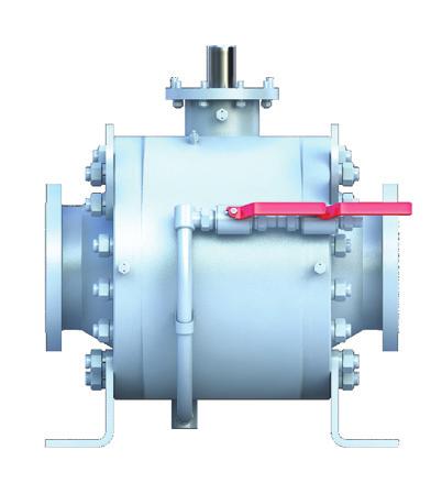 SCOPE OF SUPPLY The package includes: Fully assembled pig valve