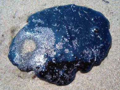 CRUDE OIL 35 Crude oil found in rock formations that were floors of oceans thousands of thousand years ago Organic matter trapped by rocks and subjected to high pressure and temperatures A mixture of