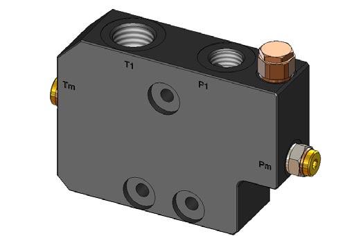 IV - Variable pump Inlet Module POS. DESCRIPTION Code 1 Inlet Body IV 2 Press.