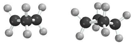 4. Conformations of Cycloalkanes in 3-dimensional space Do you think cycloalkanes move freely like open