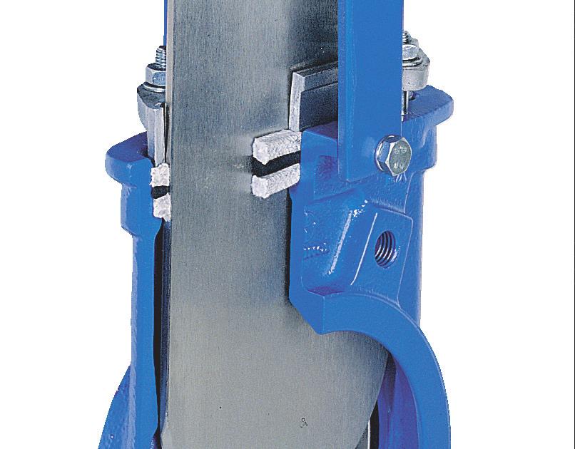 SS knife gate, double-side polished Yoke Robust steel support plates, finished in blue Epoxy coating RL 5015 (SS optional)