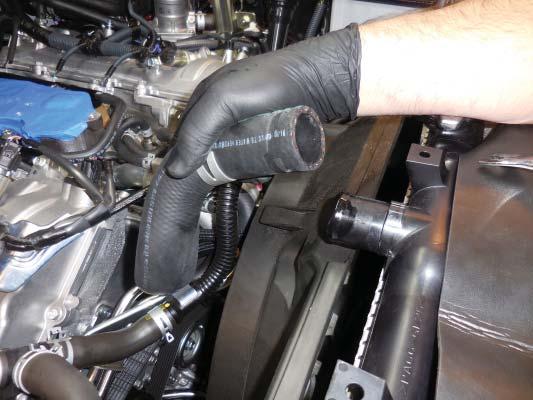Remove the hose clamp from the lower radiator hose, and disconnect the hose.