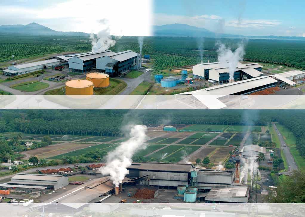 Numundo Mill, FFB processing capacity of approximately 80 tonnes per