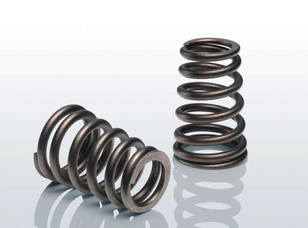 18 EVS Eibach Valve Springs Single spring design for reduced mass, lower friction and