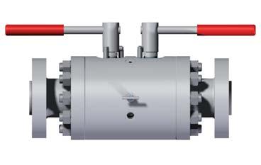 Product Schematic ½" to 2" N.. Flanges (15 to 50 DN). ANSI 16.5 150 2500 fl ange class and API 10,000. ½" NPT (female) standard outlet. ½" NPT (female) standard vent.