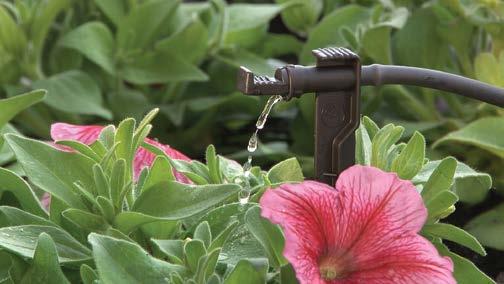 Midi Drip Emitters 1 gph dripper with barb and spike options. For efficient delivery of water to individual plants in pots and gardens.