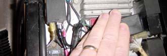 Make up a black ground wire 6 long with ring terminal on one end and push on terminal on the other. 3.