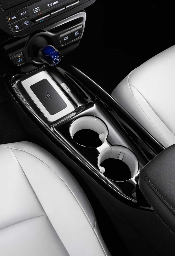 INTERIOR ACCESSORIES Lower Console Appliqué To complement the sporty interior, add the Lower Console Appliqué.